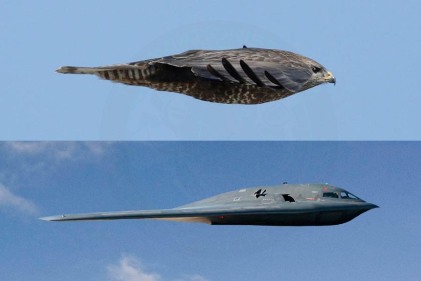 ABŞ-ın xəyalət bombardmançısı: B‑2 Spirit – FOTO