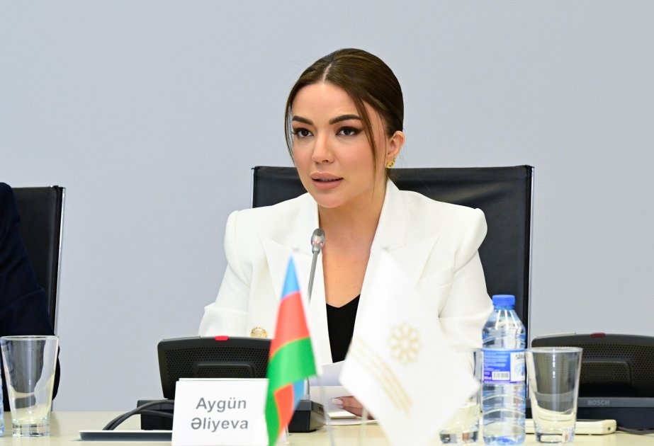 Aygün Əliyeva: Qərbi Azərbaycan qayıdış mövzusu dövlət siyasətinin əsasını təşkil edir