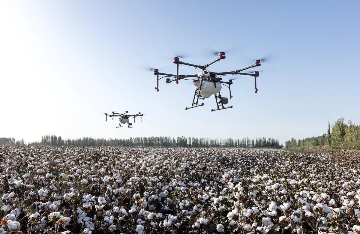 Prime Cotton beynəlxalq sertifikatlarla mövqeyini gücləndirərək, 30 illik yubileyinə inamla qədəm qoyur