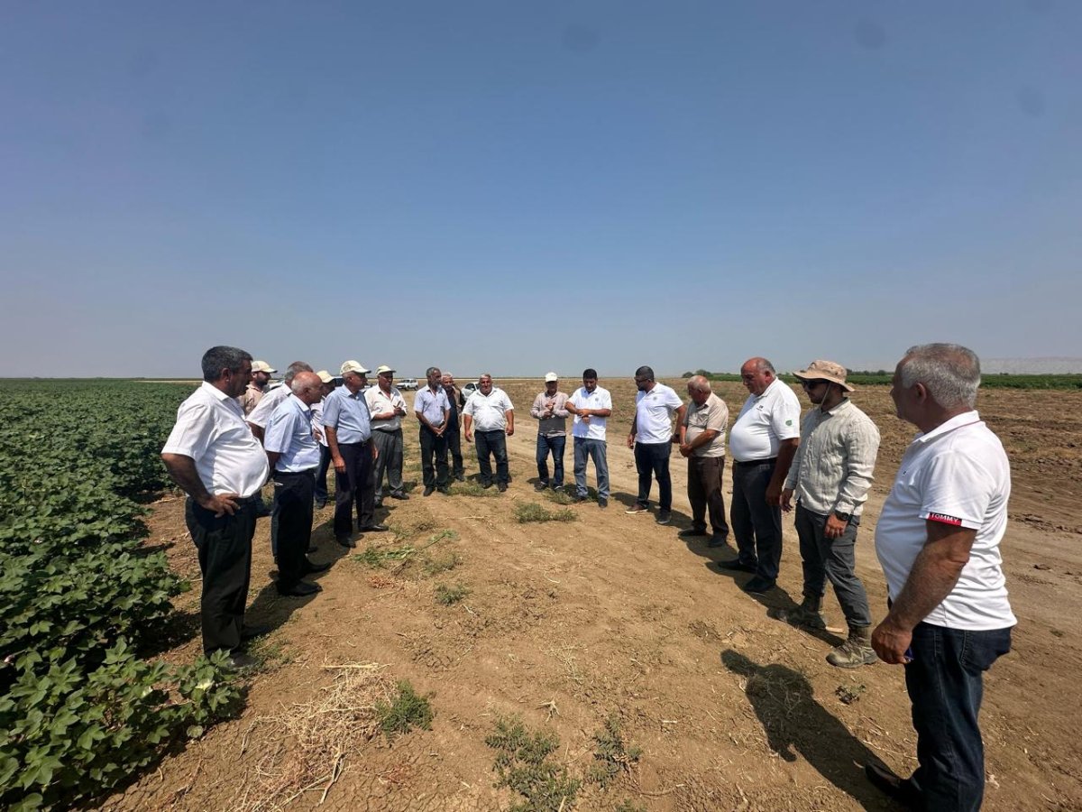 Prime Cotton Yevlax və Beyləqanda fermerlər üçün maarifləndirici tədbirlər keçirib