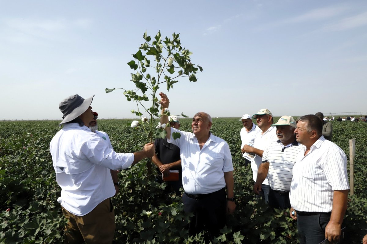 Prime Cotton 30 illik yubileyində pambıqçılar üçün ənənəvi “Açıq Tarla Günü”nü keçirdi
