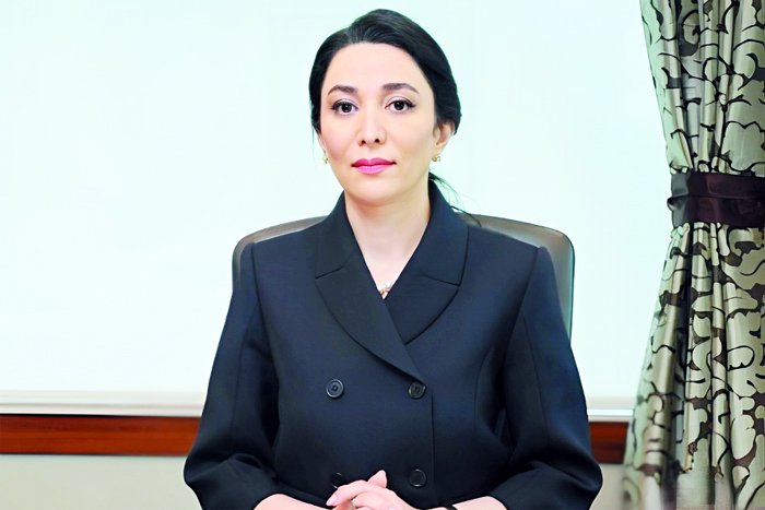 Ombudsmanın illik məruzəsinə komitə iclasında baxılmayacaq