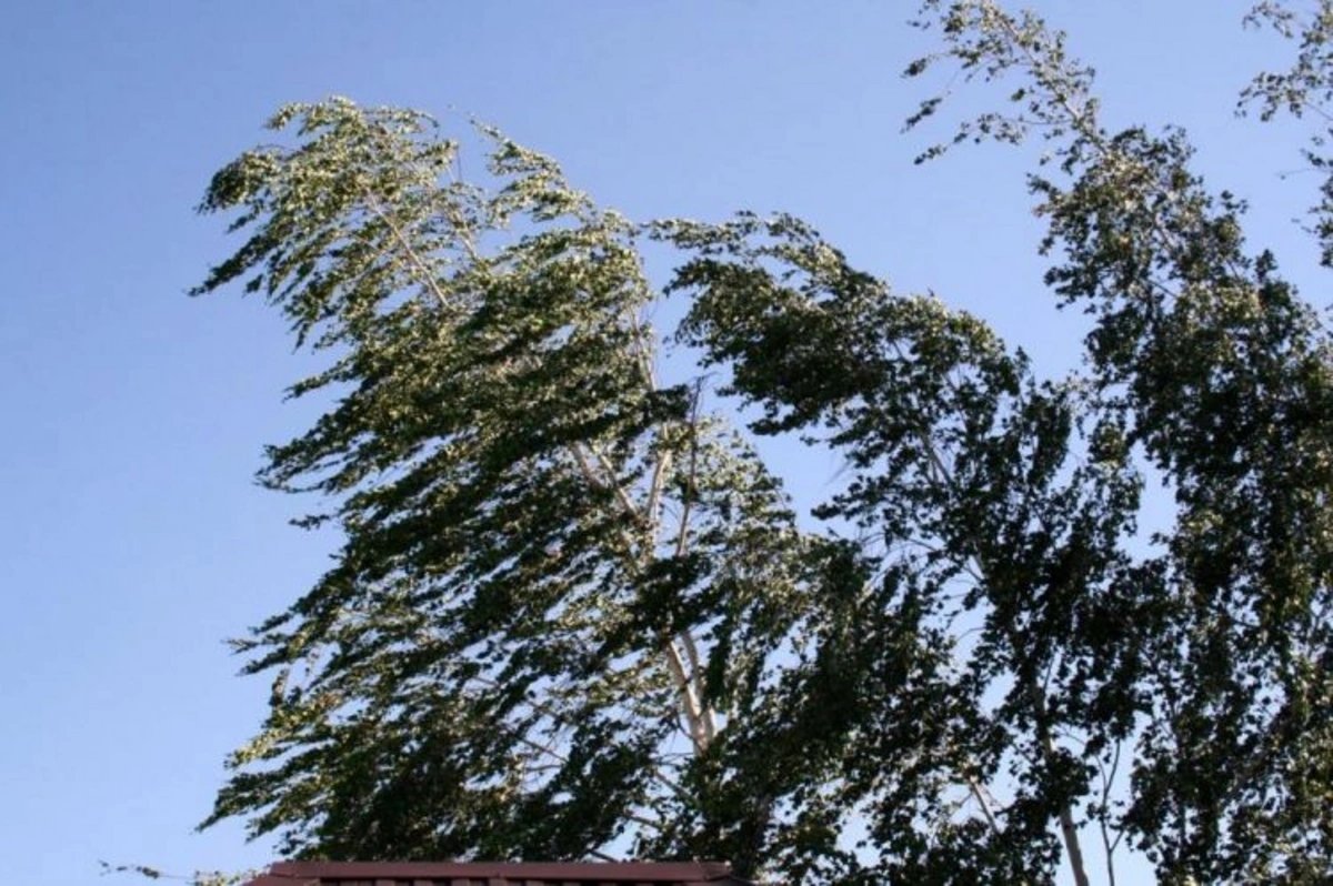 Faktiki hava açıqlanıb