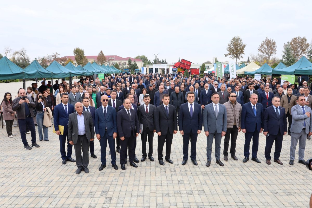 Saatlıda Aqrar Biznes və “Pambıq” festivalları keçirilib