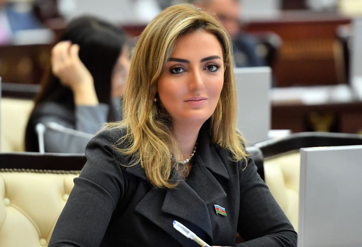 “Ermənistanı narahat edən Qərbi Azərbaycan həqiqətlərilə bağlı dəqiq mənbələrin çoxluğudur”