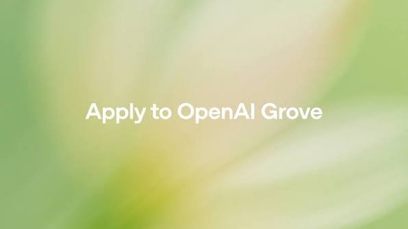 OpenAI AI sahəsində startap qurmaq istəyənlər üçün Grove proqramını elan etdi
