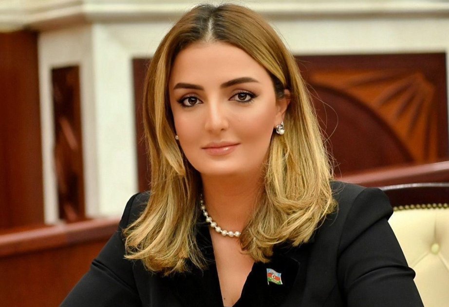 “Dezinformasiya siyasətinə qarşı mübarizə hər bir fərdin məsuliyyətidir”