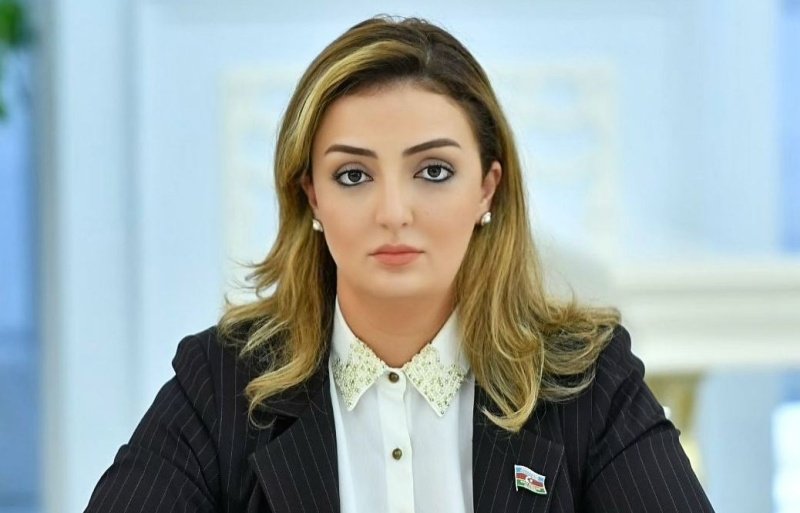 “Azad olunmuş ərazilərdə mina təmizlənməsi prioritet məsələdir”
