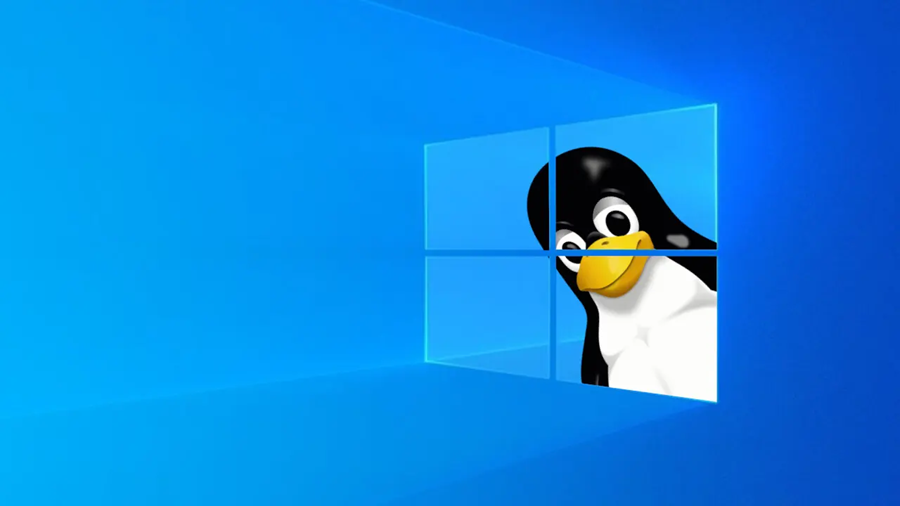 “Windows”dan imtina edirlər