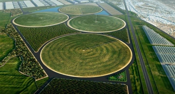 Aqroparklar milli iqtisadiyyatımızın perspektiv istiqamətlərindən biridir