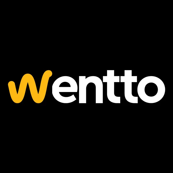 “Wentto Electronics” BORCA DÜŞDÜ