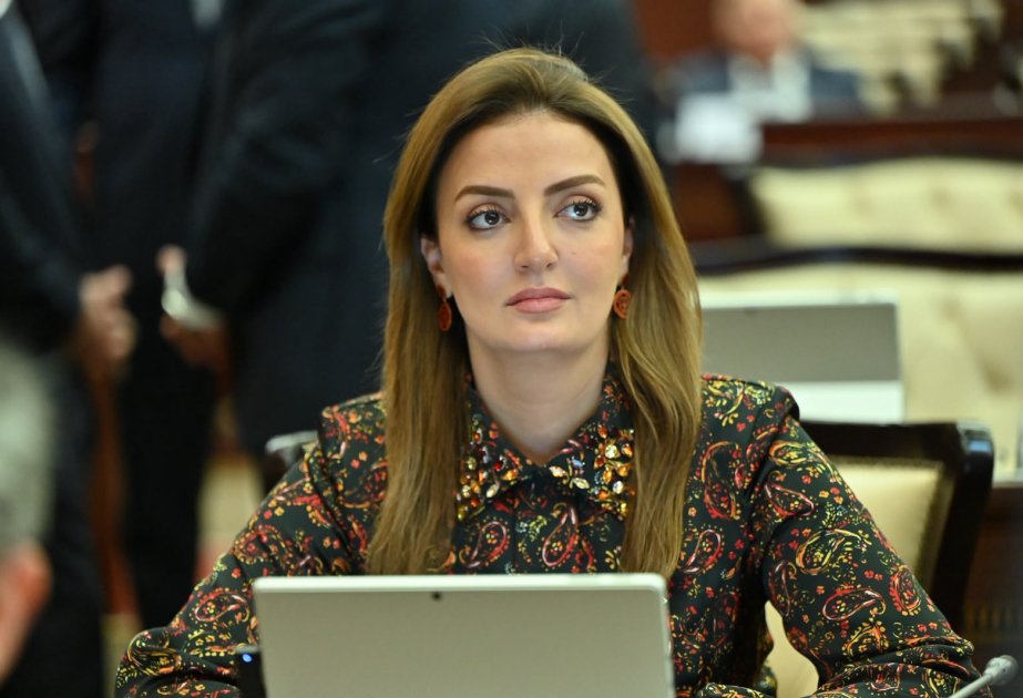 “Ermənistan qanunsuz istismara görə məsuliyyət daşıyır və buna görə cavab verməlidir”