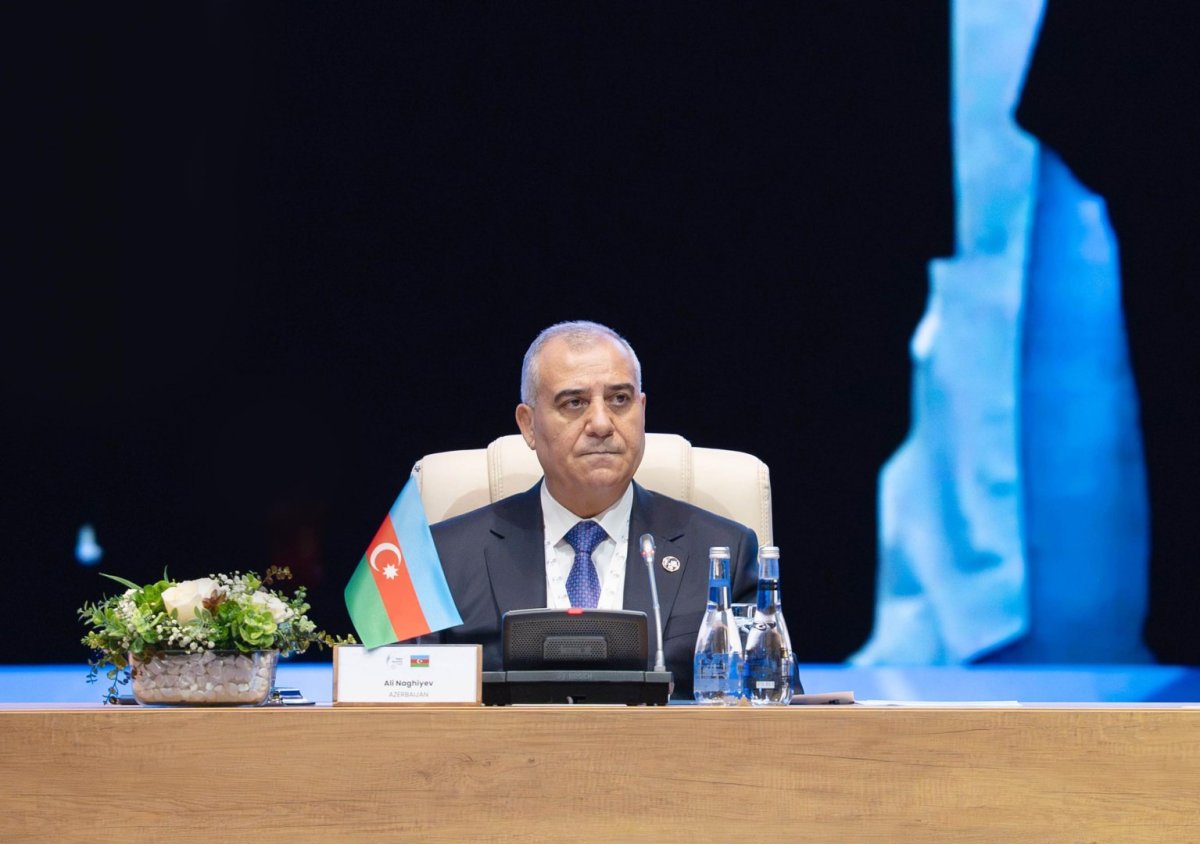 Əli Nağıyev: Beynəlxalq təhlükəsizlik sistemi dərin keçid dövrü yaşayır