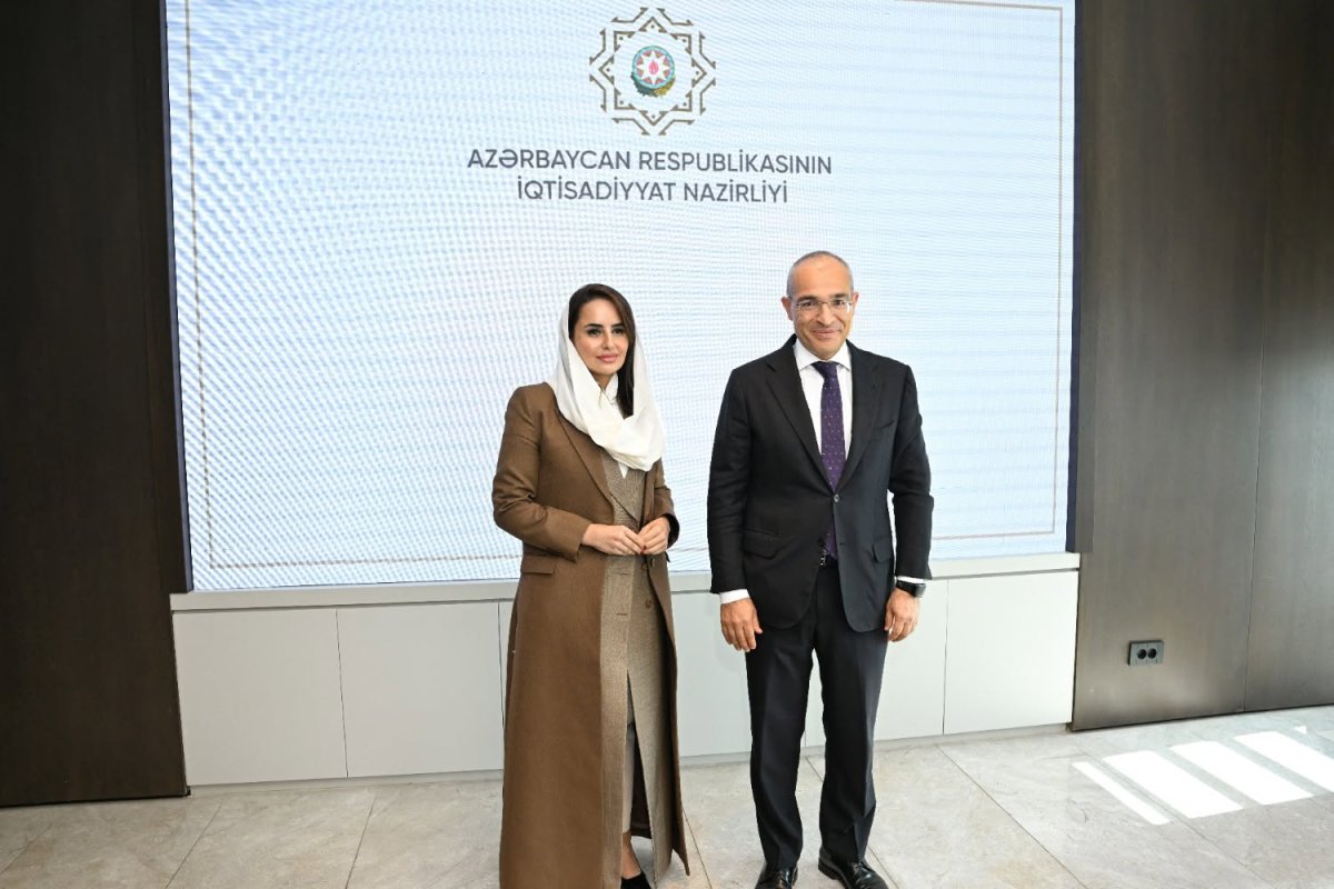 Mikayıl Cabbarov Rəqəmsal Əməkdaşlıq Təşkilatının Baş katibi ilə görüşüb