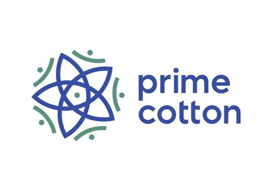 “Prime Cotton”la əlaqəli 32 milyon manatlıq şirkət yaradılıb